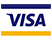 visa icon