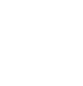 Ottawa Moving Logistics logo